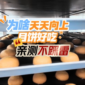 天天向上的月餅替你們嘗了！好吃！